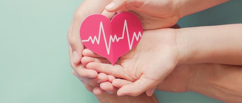 Two pairs of hands holding cardboard heart cut-out with heartbeat running through against a blue background.