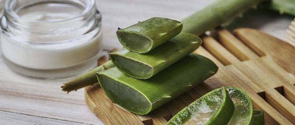 Is aloe vera good for your skin?