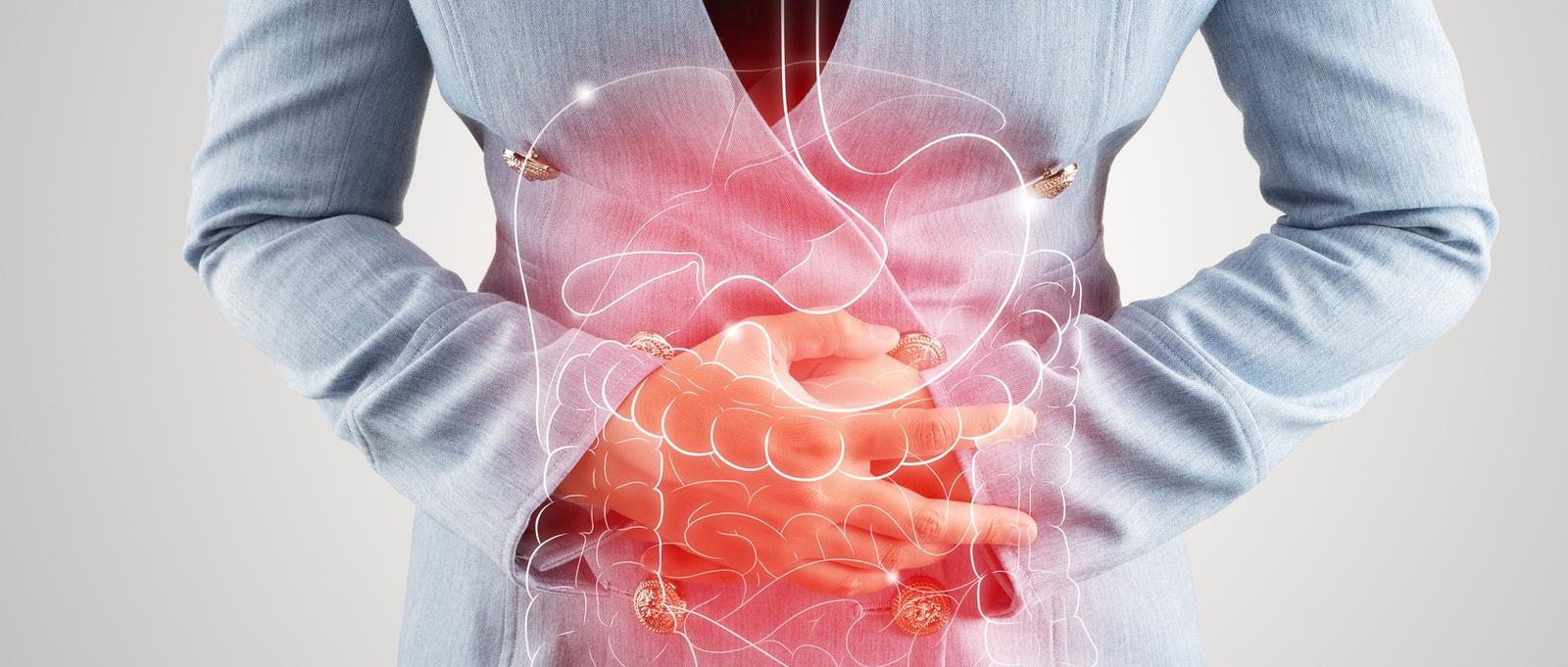 Illustration of internal organs is on the woman's body against the grey background. Business Woman touching stomach painful suffering from enteritis. internal organs of the human body.