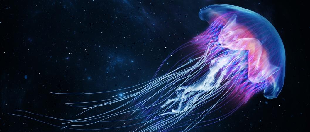 What is somatic exercise? Exploring the mind-body connection