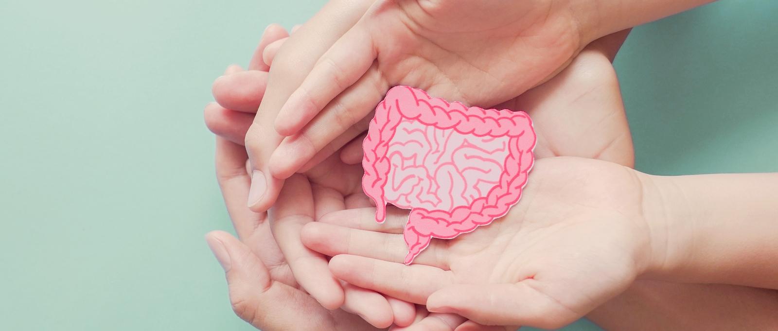 Digestive health videos