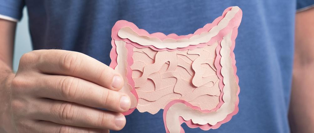 What is your gut microbiome?