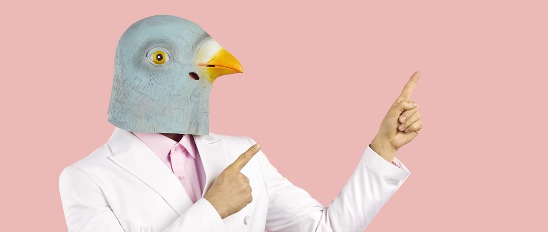 Man wearing white suit and funny pigeon bird mask standing against pastel pink colour background and pointing both index fingers.