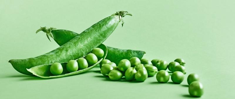 Plant-based proteins could help prevent high blood pressure