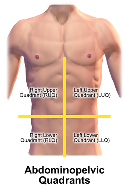 Right and Left Upper Quadrants