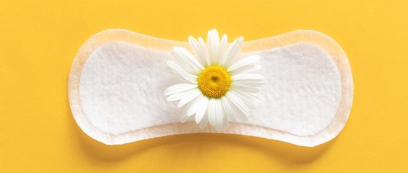 Sanitary towel with yellow and white daisy against yellow background.