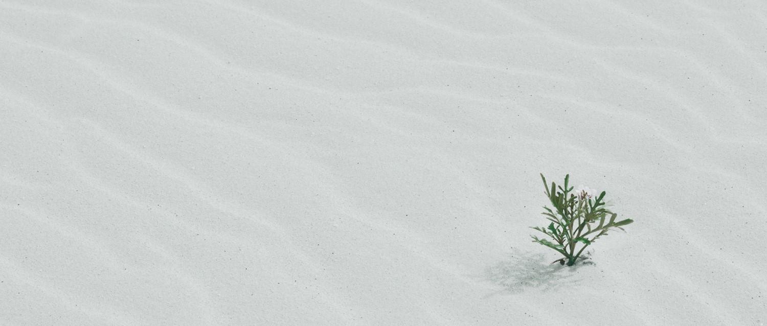 How to cope with a genital herpes diagnosis