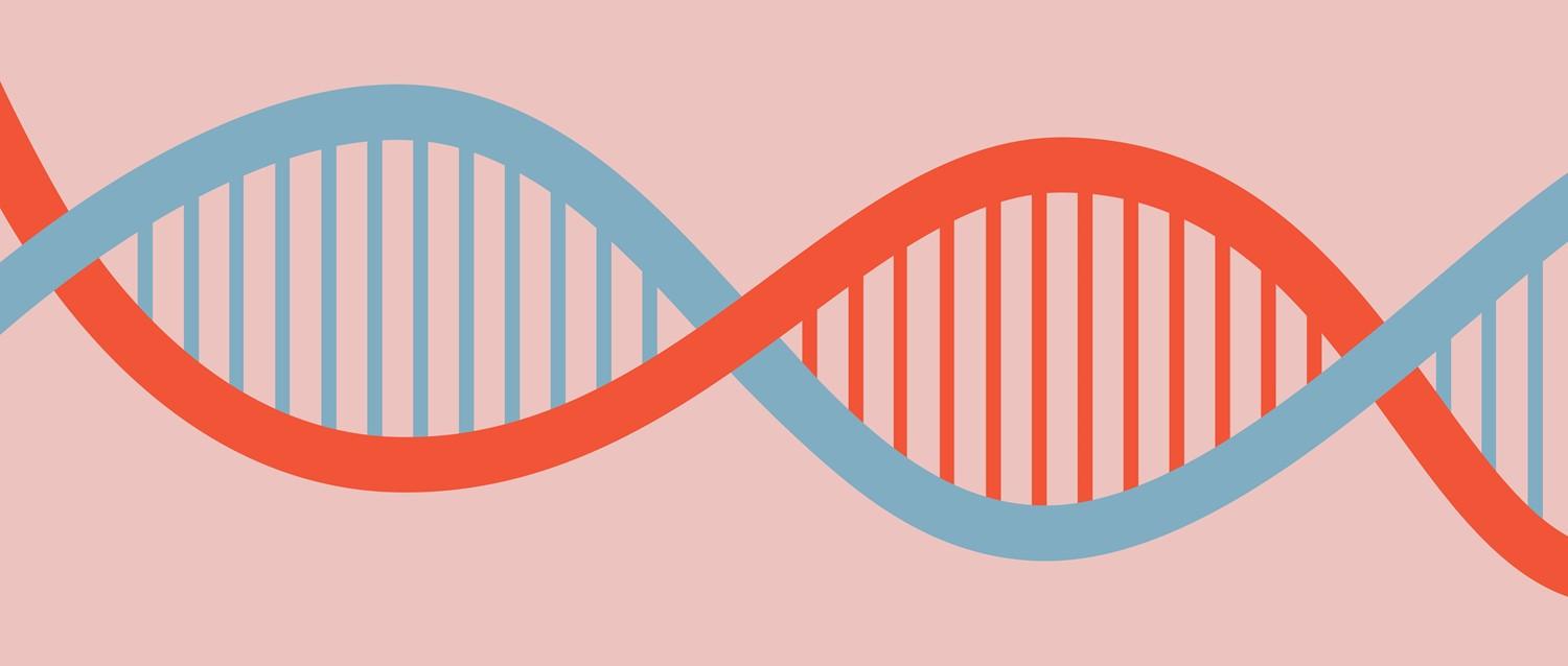 What is a genetic disorder?
