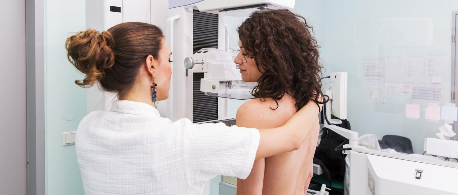 Anatomy of the breast