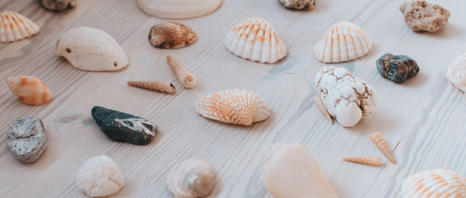 Why you always seem to get sick on holiday