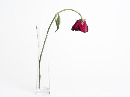 erectile dysfunction