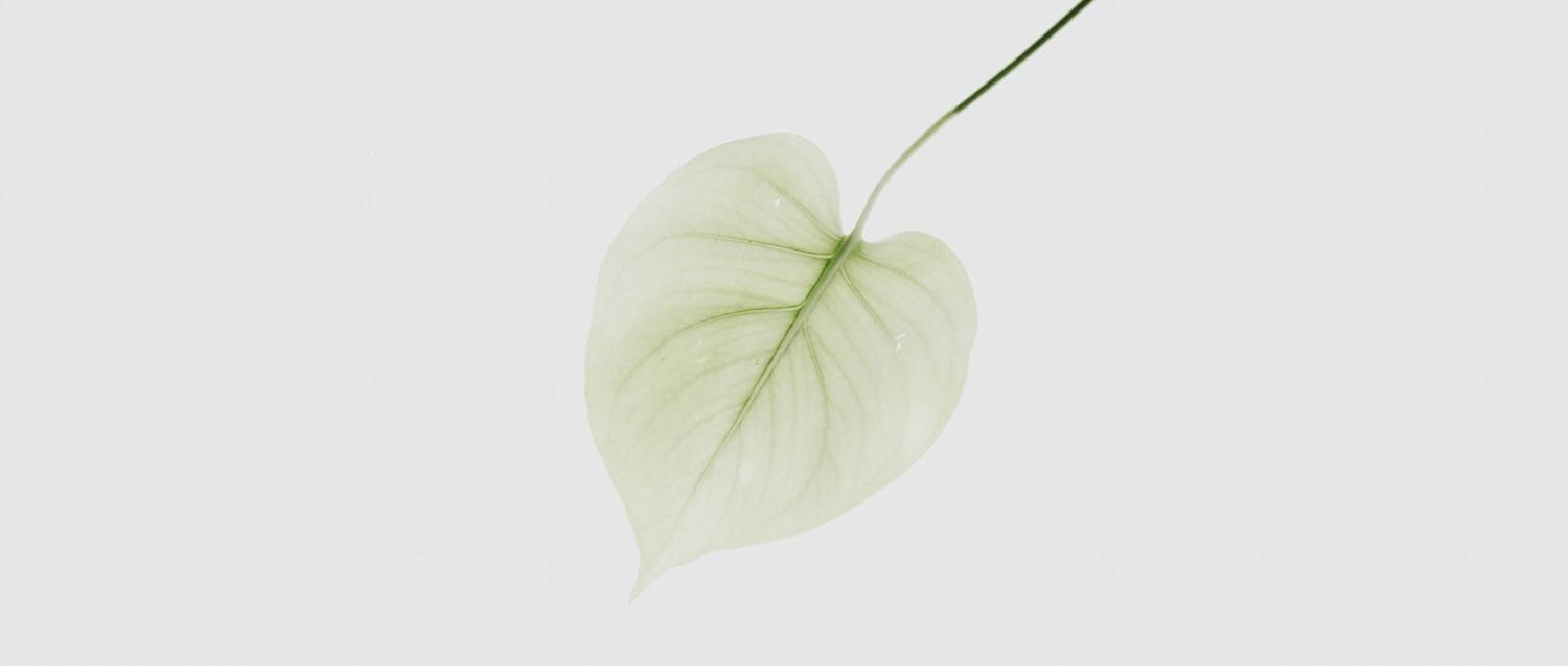 Gynaecological cancer