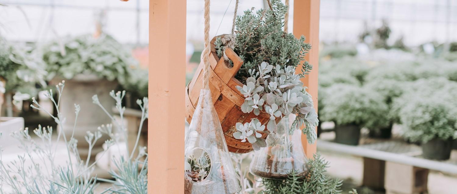Hanging wooden basket with succulents and small glass terrariums in a plant nursery with soft peach-coloured posts.