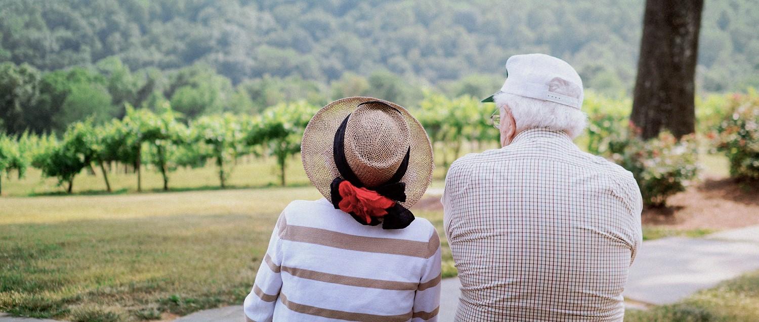 Elderly couple from behind, overlooking a vineyard landscape; one wearing a straw hat with red flower, the other a white cap.