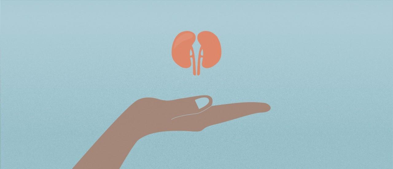 How to take good care of your kidneys