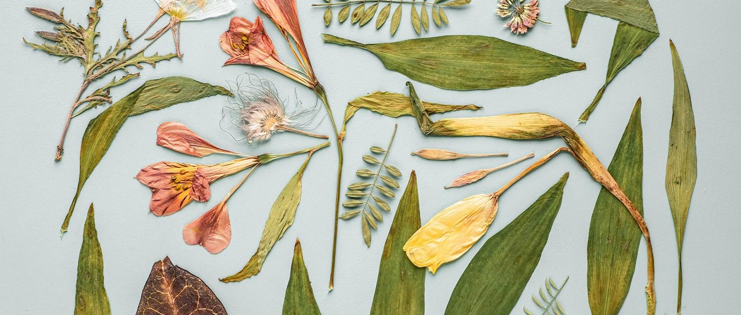 When is hay fever season in the UK - and how can you avoid the symptoms?