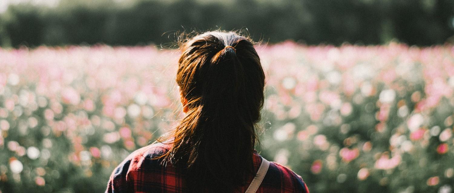 Domestic Violence Mental Health Stats