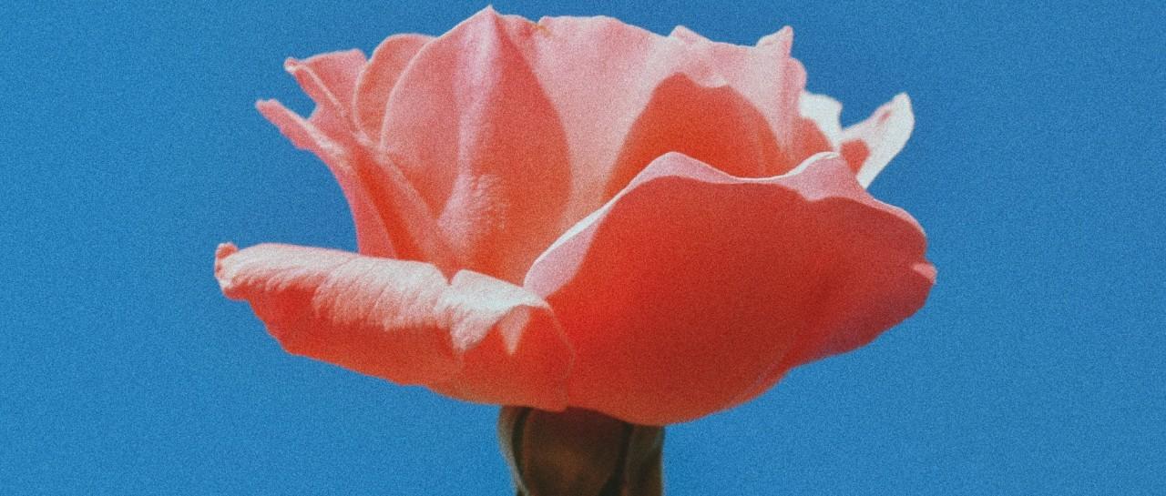 Can you be too old for a smear test?