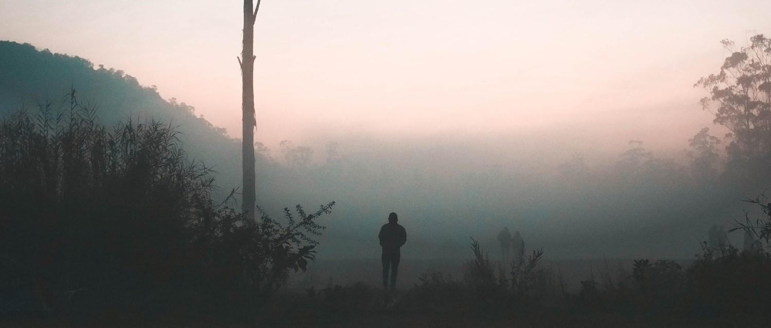 Why we get brain fog