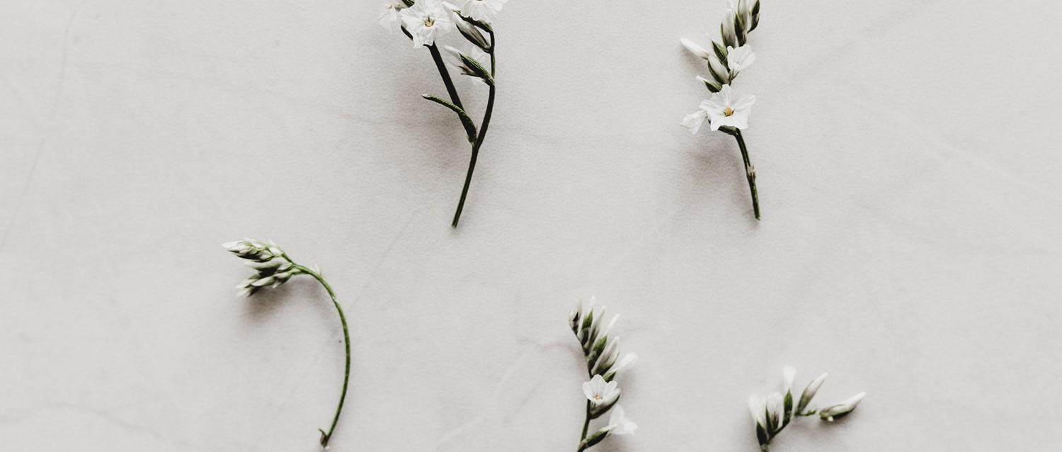 Is DNA testing a good idea?