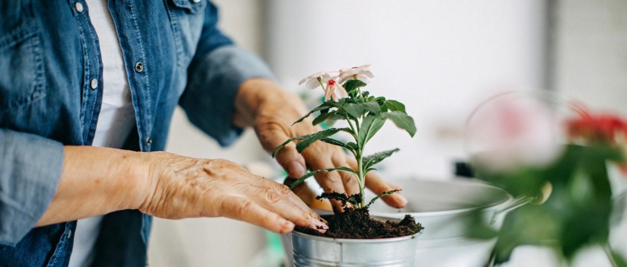 COVID-19: how to support vulnerable friends and family during the coronavirus pandemic