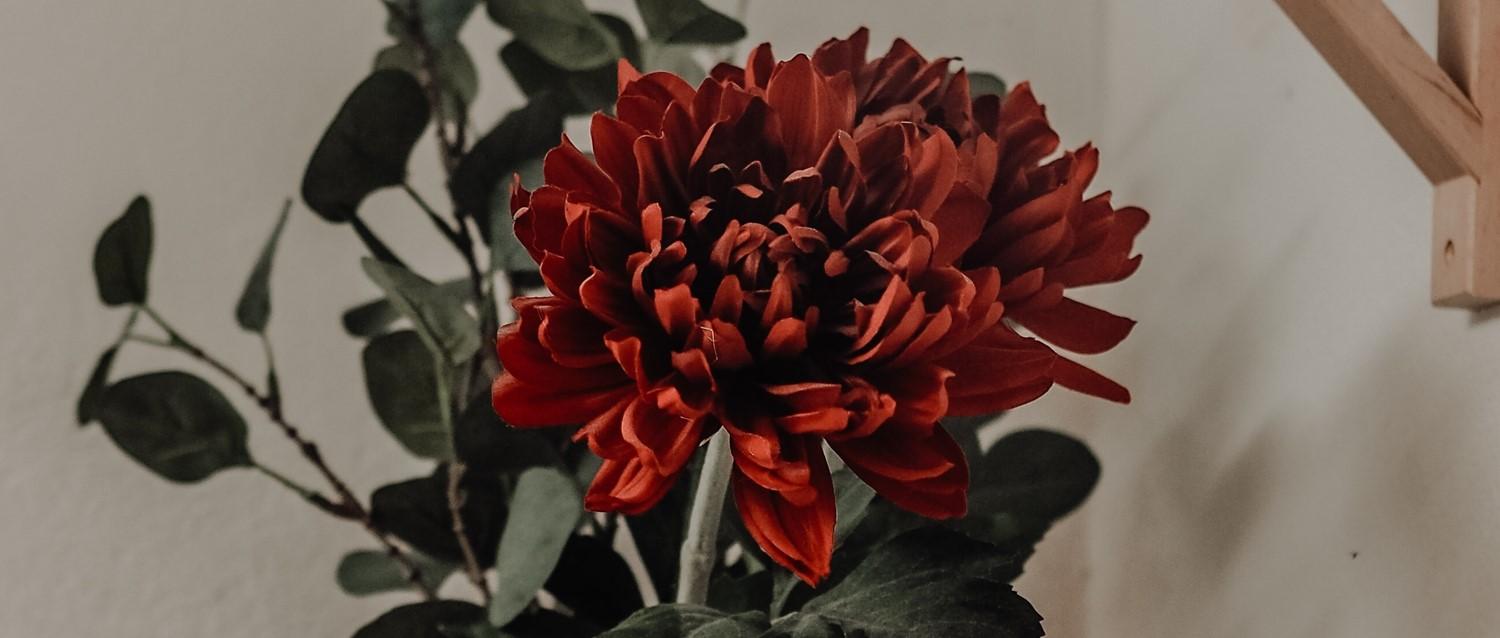 Can blood tests help to manage menopause and HRT?