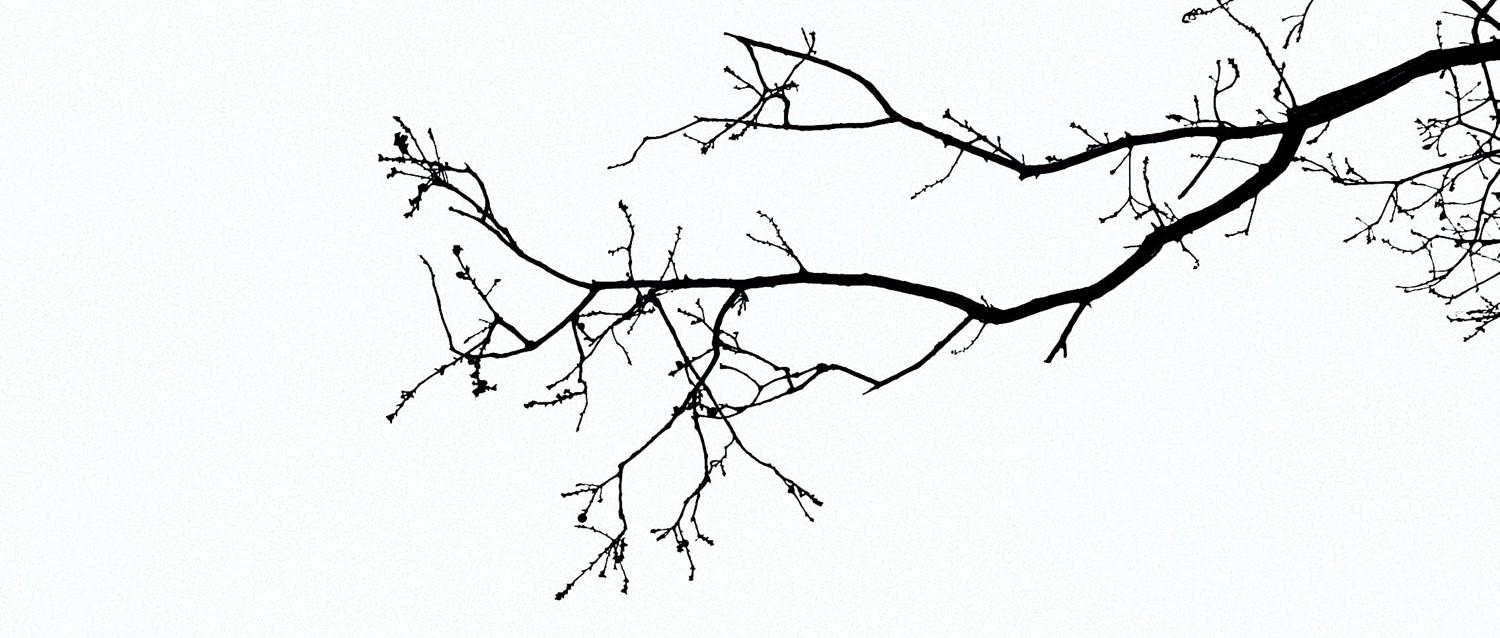 Is the vagus nerve really the key to our mental health and well-being?