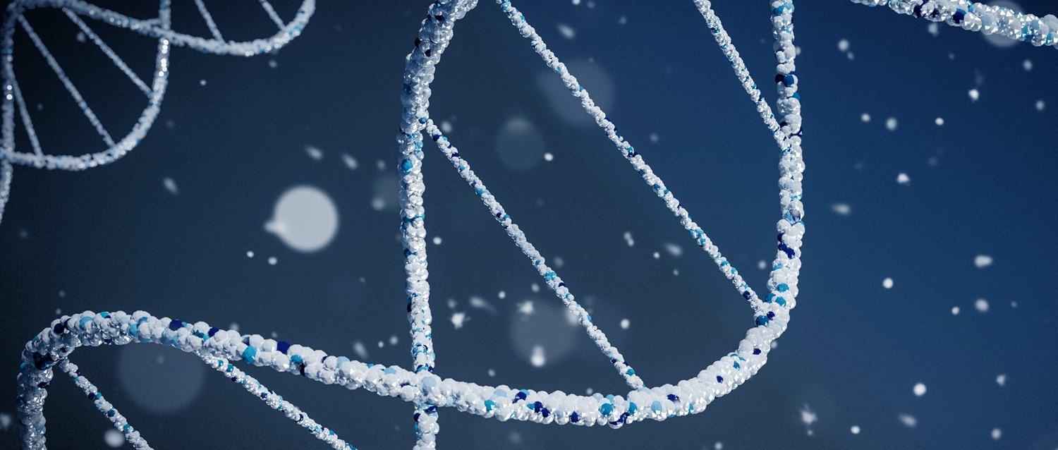 How much do genetics matter for cardiomyopathy?