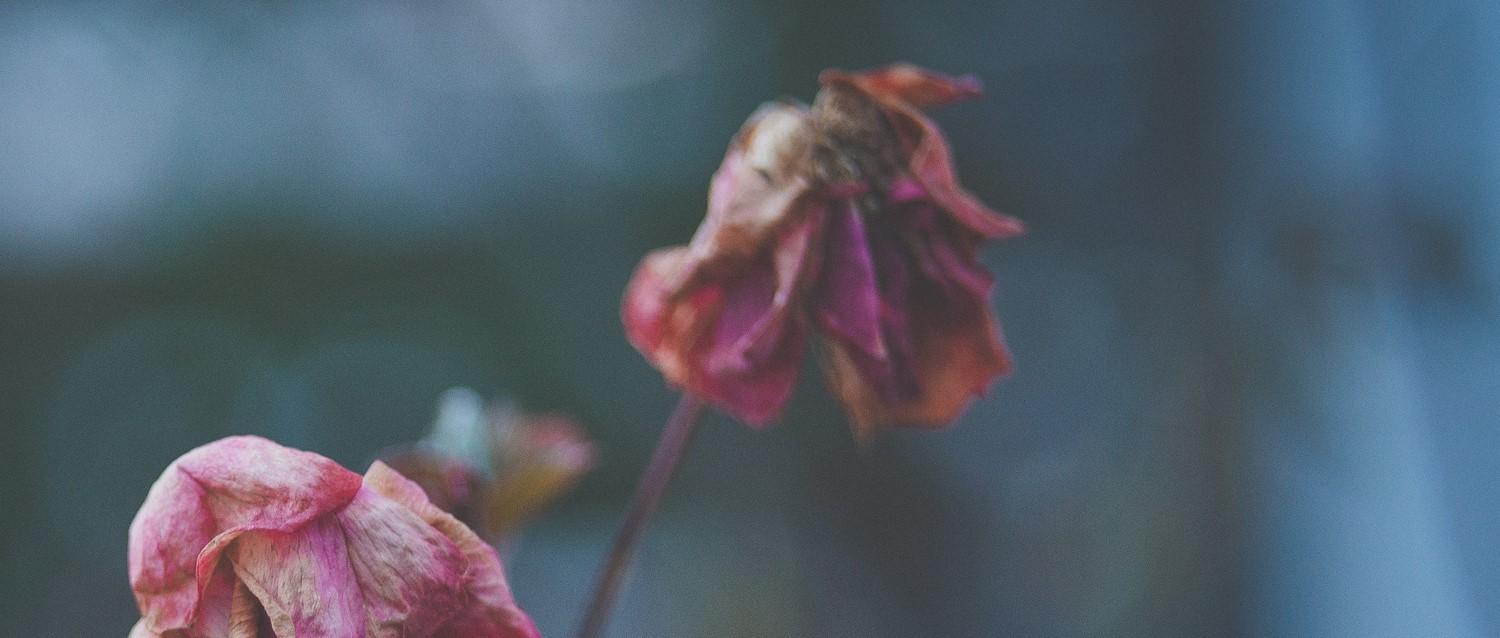 taboo pregnancy loss