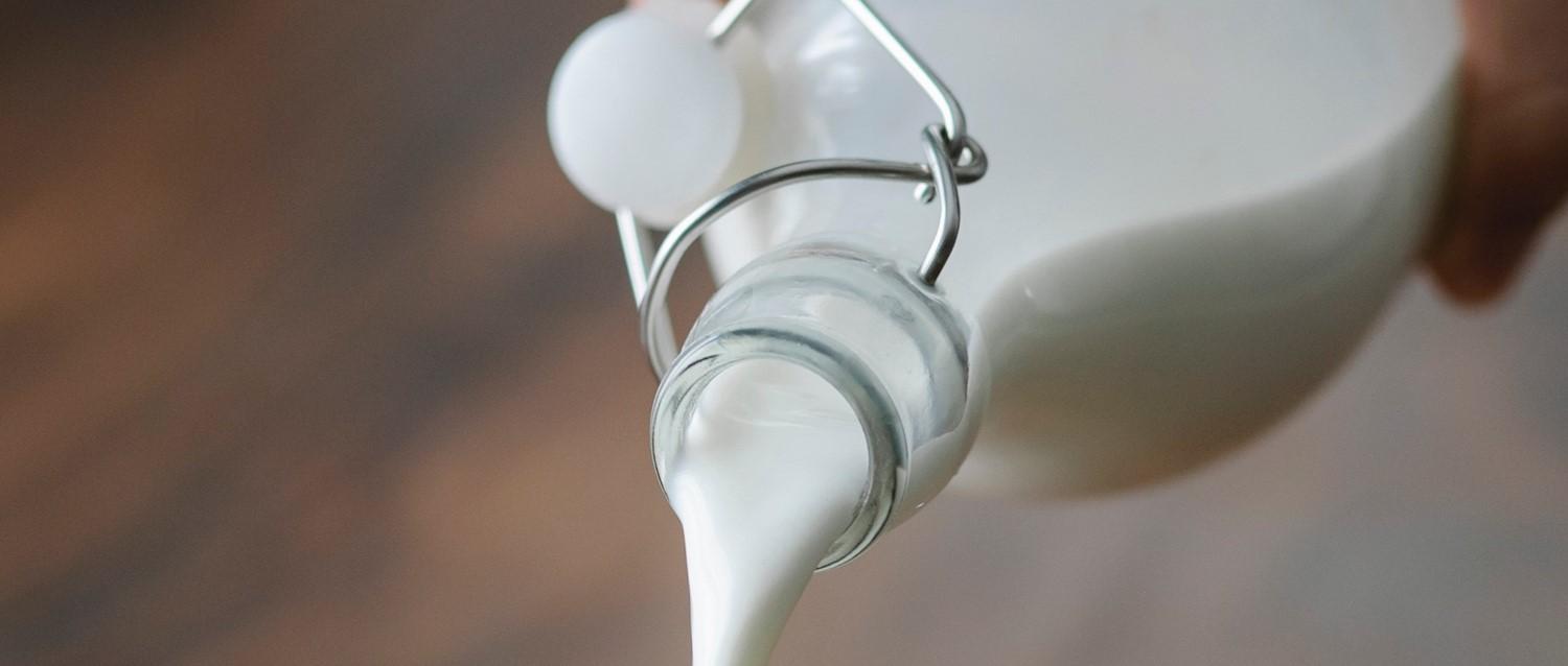 Cow's milk allergy in babies: What is the milk ladder?