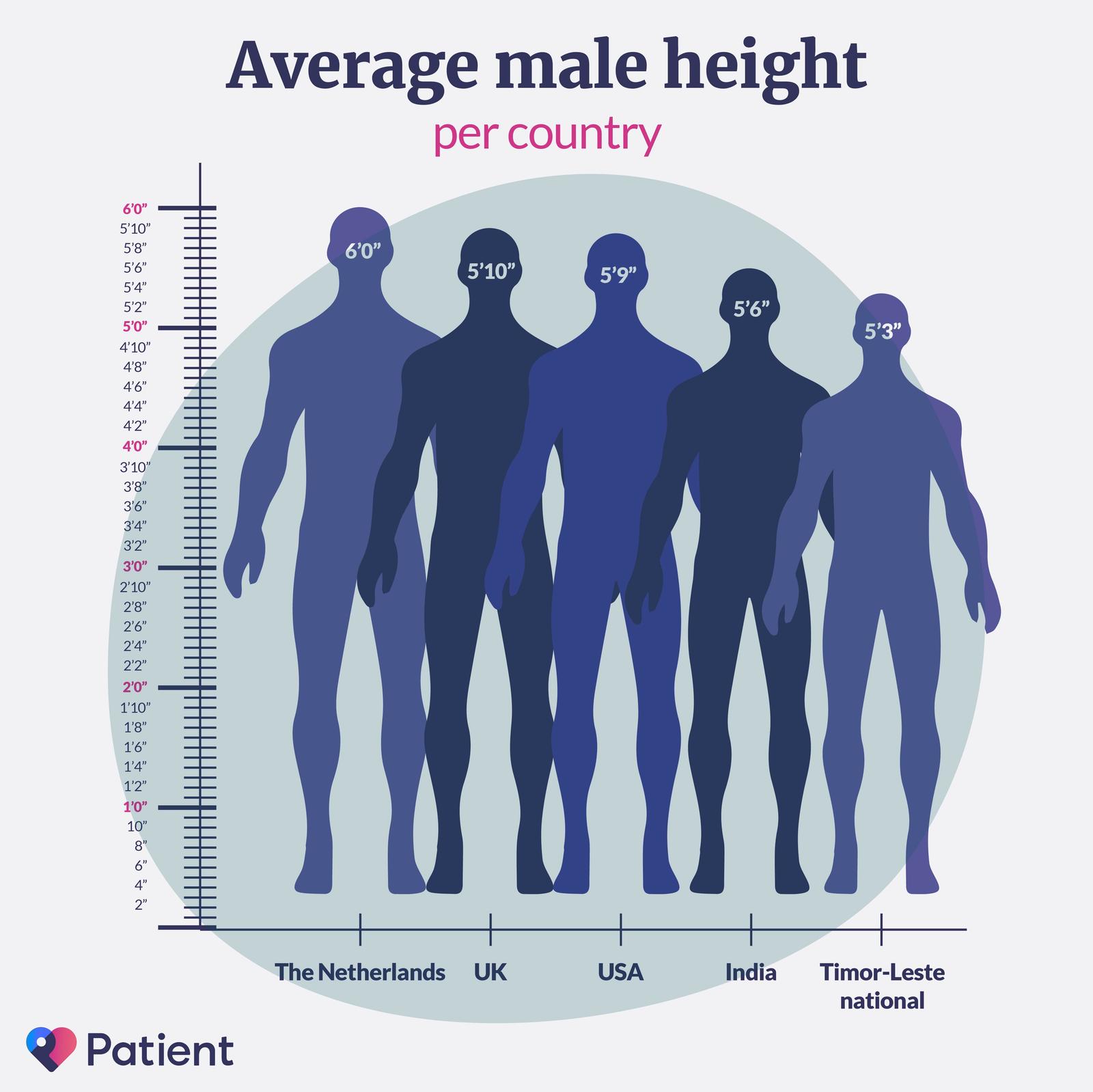 Average male height